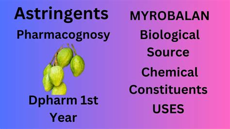 Cinnamon Carminatives Pharmacognosy Dpharm Crude Drug Hindi And