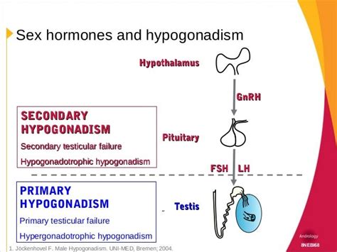 Hypogonadism And Testosterone Replacement