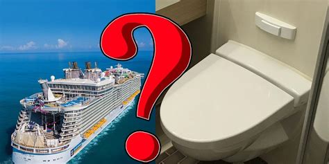 Where Does The Poop Go On A Cruise Ship