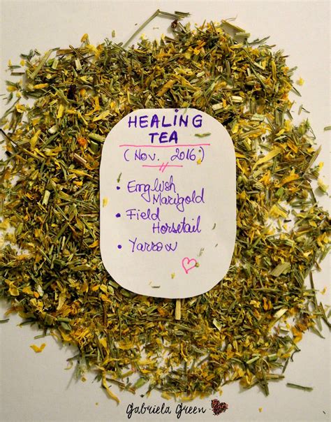 Diy Make Your Own Healing Herbal Tea Gabriela Green Healing Tea