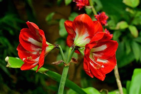 The Biggest Mistake You Can Make With Bulbs