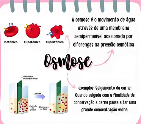 Osmose Mapa Mental Como Aprender Mais Rapido M Todos De Ensino