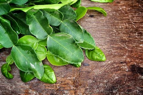 Kaffir Lime Leaves vs Lime Leaves: How & When to Use Them (2025)