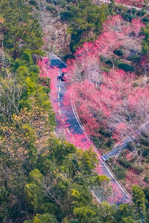 清明祭扫叠加踏青出行 黄陂交警提醒这样避堵