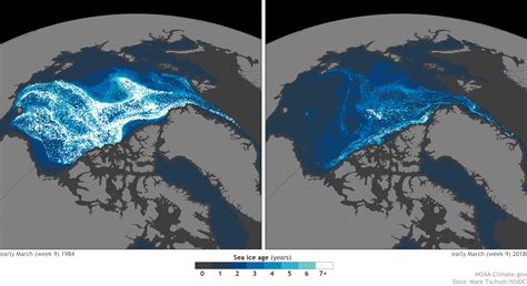 Old Sea Ice Continues Disappearing From The Arctic Ocean Noaa