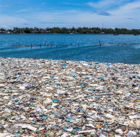 Plastikm Ll K Stenarten K Nnen Auf M Ll Im Offenen Meer Berleben Welt