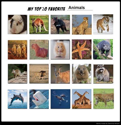 My Top 20 Favorite Animals by AlexAndersonRoman on DeviantArt