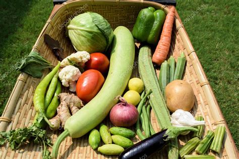 Granja Fresca Ecol Gica Mezcla De Verduras Variedad De Verduras Desi