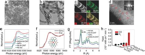 Recent Progress In Nickel Single Atom Catalysts For The