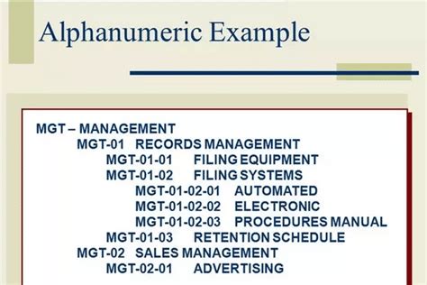 Alphanumeric characters: Functions, Examples and Everything You Need to ...