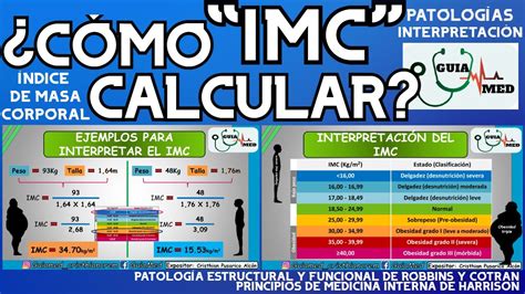 Desconexi N Carril Cosquillas Calcular Masa Corporal Hombre Cabecear