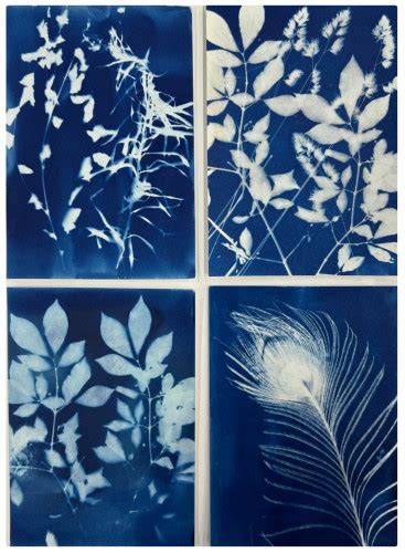 Cyanotype For Beginners With Suzanne Moseley And Liz Shepherd