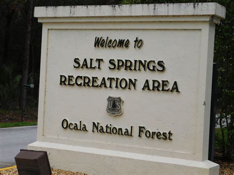 Salt Springs Recreation Area | PipesTraveler