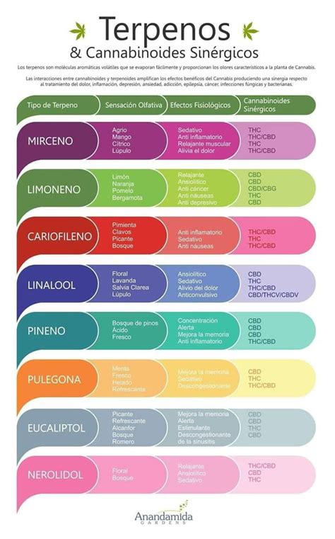 Terpenos Programa De Cannabis Medicinal