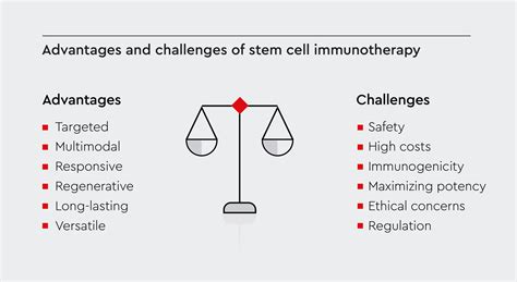 Stem cell immunotherapy: Harnessing the immune system