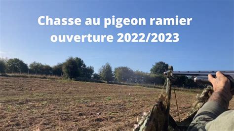 Chasse Au Pigeon Ramier Ouverture Youtube