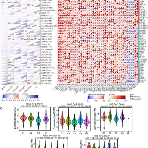 Correlation Between Fam A Expression And Patient Outcome Across