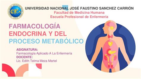 Farmacolog A Endocrina Y Del Proceso Metab Lico Linda Milena Le N