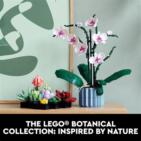 楽天市場レゴ LEGO Icons Succulents Artificial Plant Set for Adults