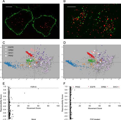 Global Quantitative And Dynamic Mapping Of Protein Subcellular