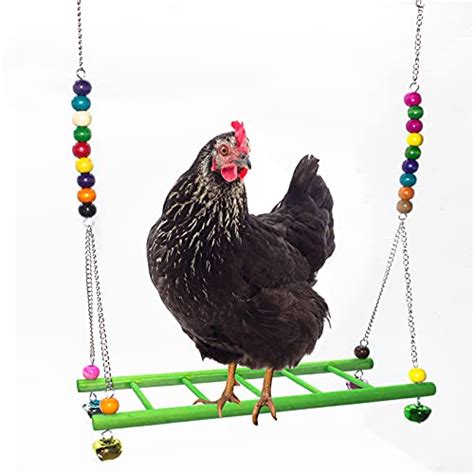 Poulailler Quels Accessoires Choisir Pour Vos Poules