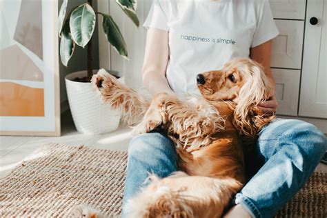 De Gevaren Van Parvovirus Bij Honden En Hoe Je Het Kunt Voorkomen I