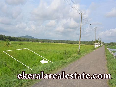 Cents Land For Sale At Punchakkari Karumam Trivandrum Real Estate