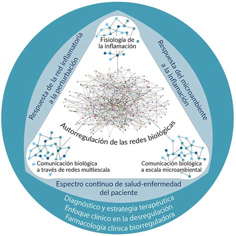 Modelo de Aplicación Clínica Biorreguladora de Sistemas