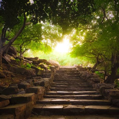 Verde que te quiero verde: así beneficia la naturaleza a nuestra ...