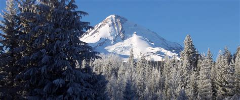 Cooper Spur Mountain Resort - Lodging on Mount Hood