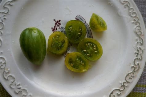 Зеленые черри — бесполезная экзотика или вкуснейшие томаты ...