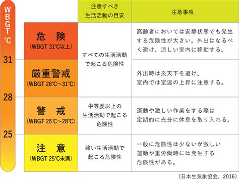 websndj