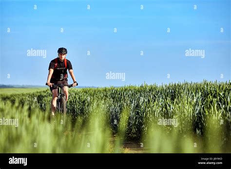 Attractive Cyclist Riding Mountain Bicyclist In The Summer Green Field