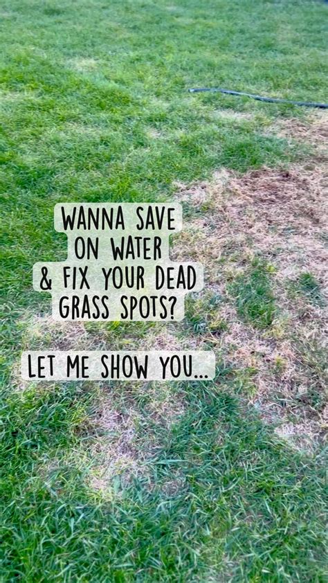 How To Easily Repair A Lawn That S Covered In Patchy Spots Artofit