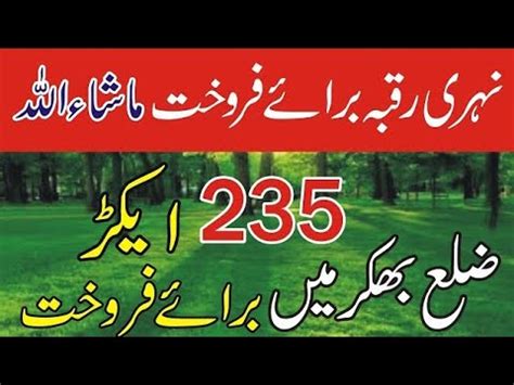 Land For Sale Acer Zari Zameen Jandanwala Bhakkar Zameen