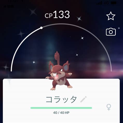 【ポケモンgo】コラッタの色違い、 入手方法と実装状況 攻略大百科