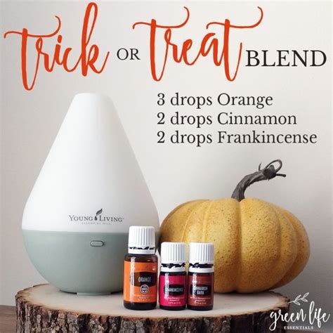 Our Best Essential Oil Diffuser Tips Artofit