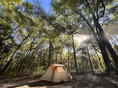 Springtime At Alexander Springs Camping