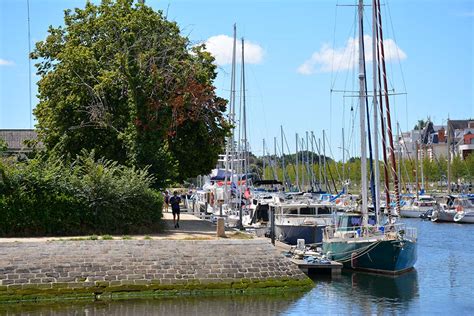 Quels arbres pour éviter la surchauffe en ville Journal Paysan Breton