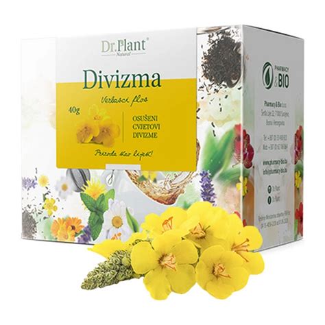 Dr Plant čaj divizma Verbasci flos 40g Zenta Farm