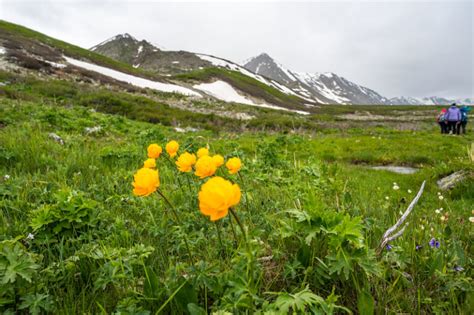 Altai Mountains Mongolia: How To Have An Unforgettable Trip