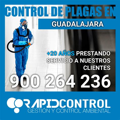 Fumigaci N En Guadalajara Servicios Garantizados