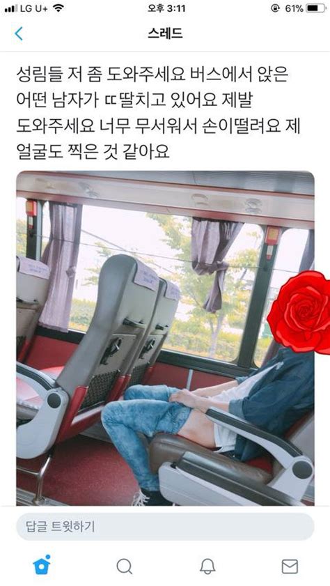 버스 안인데 옆자리 남자 딸 치고 있음 인류애 인스티즈 Instiz 이슈 카테고리