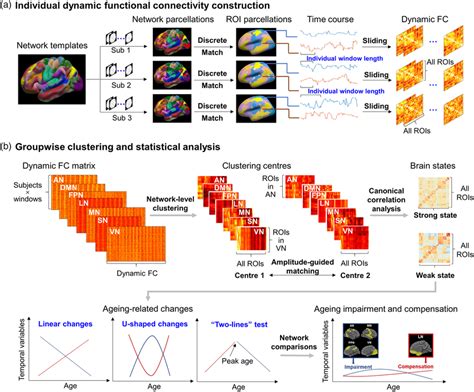 workflow  analysis  individual dynamic functional connectivity