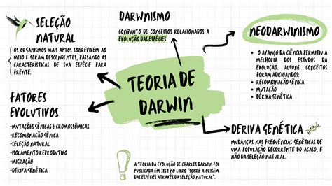 Mapa Mental Darwinismo E Lamarckismo Lucas Cardoso Saraiva Hotmart