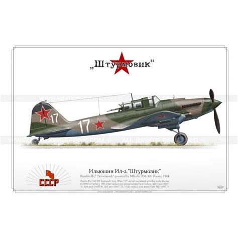 Ilyushin Il-2 "Shturmovik" "white 17" MN-03 - Aviationgraphic