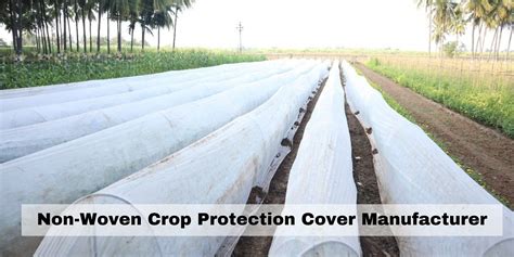 Mulching Sheet — Uses Advantages And Disadvantages By Growit India