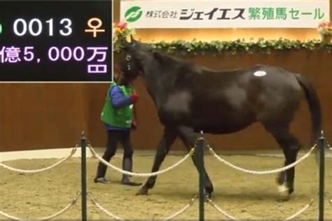 シゲルピンクダイヤ Horse Racing Of Life 競馬という名の癒しの空間