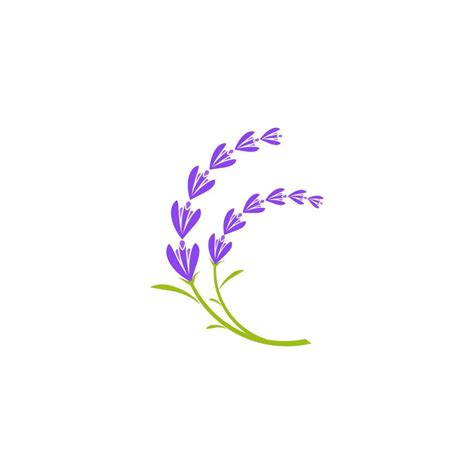 Lavender Flower Vector Icon Illustration 13195929 Vector Art At Vecteezy