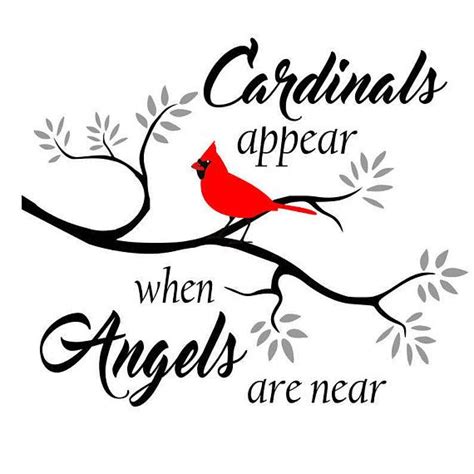 Cardinals Appear When Angels Are Near Memorial Quote Svg Files For